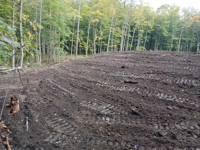 Graded site with excavator track marks where a new septic system was installed